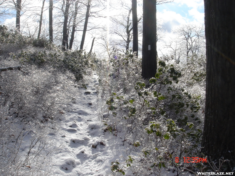 Footprints In Ice On At Harriman State Park