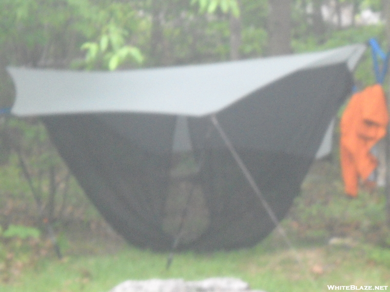 Maccat With Eno Bug Net And Cheapo Hammock