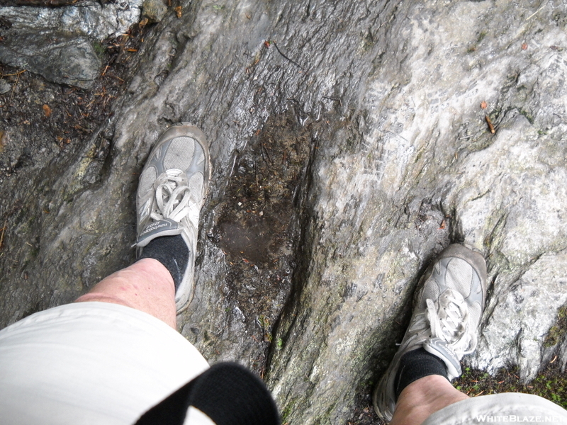 Fossilized Evidence Of Bigfoot? (water In Depression In Rock).