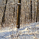 Trail in Pa.