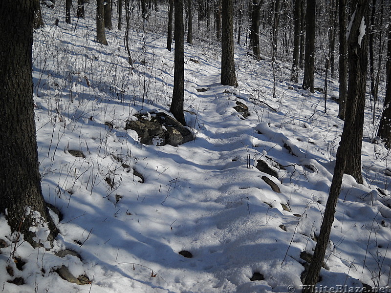 Snow on Pa. Trail - dresses up the rocks