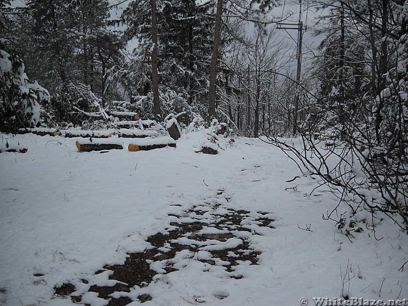 Damage from Superstorm Sandy at summit of Mt. Minsi