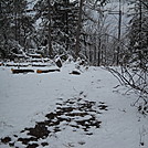 Damage from Superstorm Sandy at summit of Mt. Minsi