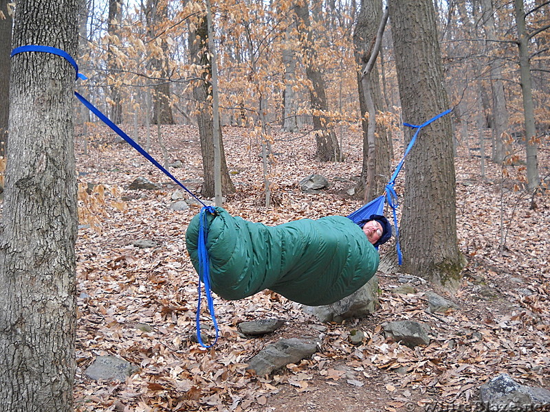 Tinker in hammock Crampton Gap Shelter