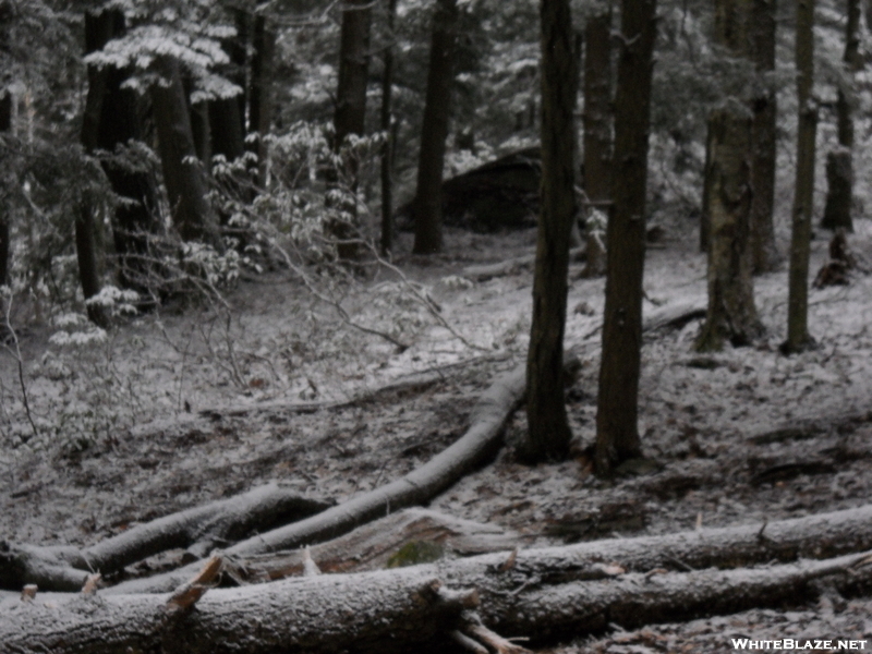 Late Winter Snow At Hemlock Shelter, Ma. Apr. 2010