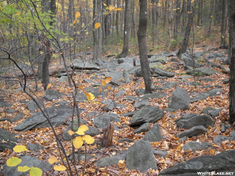 Oh, There They Are (rocks).