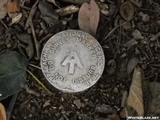 Old Aluminum At Survey Marker