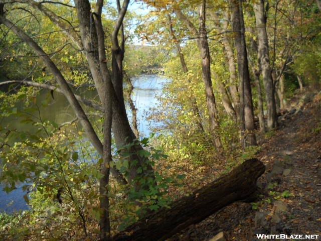 Along A River In The Cumberland Valley Pa.