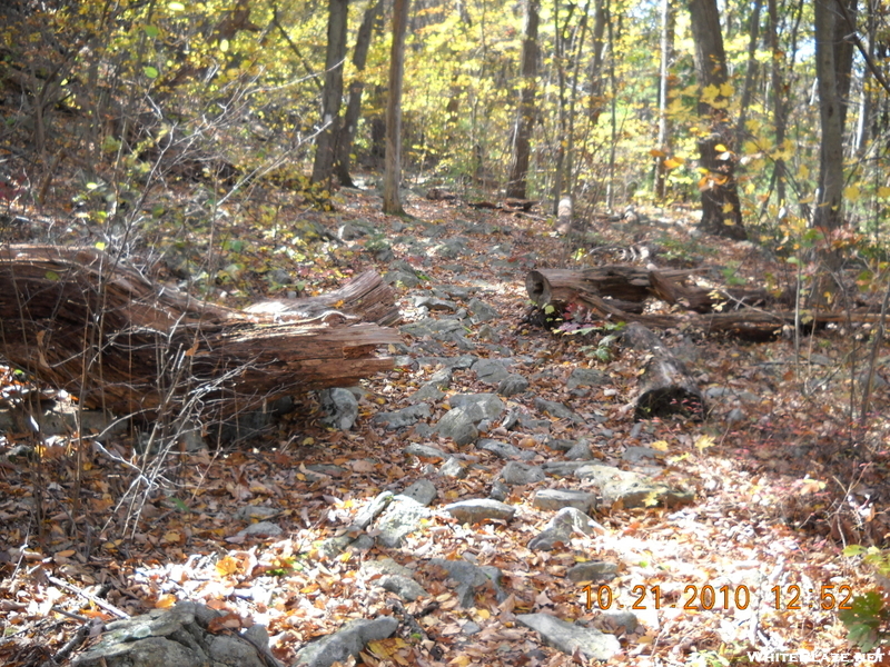 Rocks On Cove Mountain