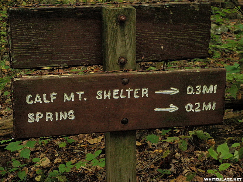 Shenandoah National Park