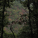 Shenandoah National Park