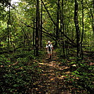 Shenandoah National Park