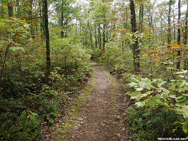 Shenandoah National Park