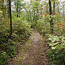 Shenandoah National Park