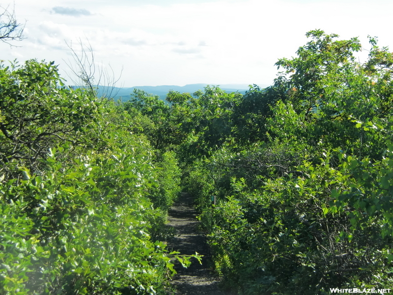 High Point Sp Nj