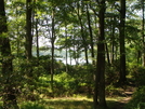 Sunfish Pond On At by Heavy G in Day Hikers