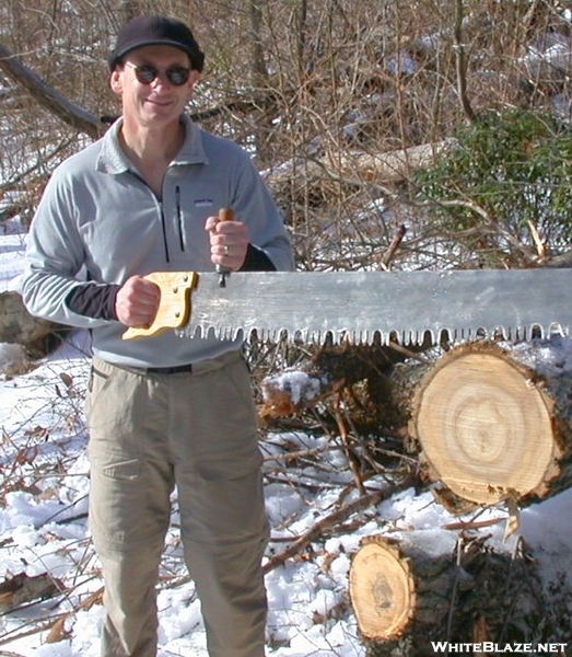 Crosscut In Shenandoah