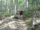 Locust Log Steps Going Uphill To New Home