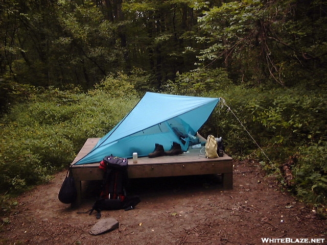 Tent Platform at Shaker Campsite