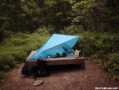 Tent Platform at Shaker Campsite by Cosmo in Massachusetts Shelters