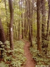 Shaker Trail