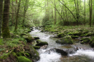 Great Smoky Mountains National Park by centsless in Views in North Carolina & Tennessee