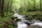 Great Smoky Mountains National Park