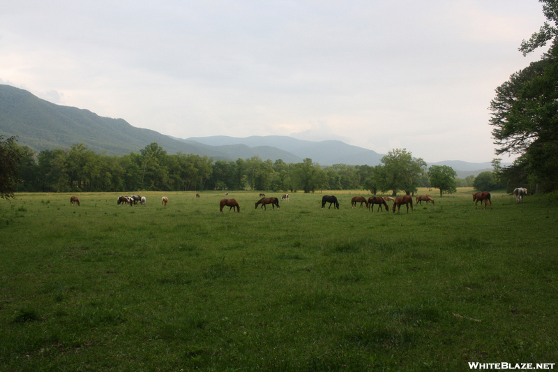 Great Smoky Mountains National Park