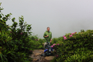 Near Grassy Ridge Bald