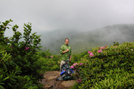 Near Grassy Ridge Bald by bus in Views in North Carolina & Tennessee