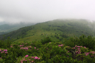 Janbe Bald, Nc by bus in Views in North Carolina & Tennessee