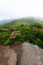 Near Jane Bald by bus in Views in North Carolina & Tennessee