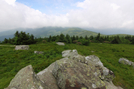 Grassy Ridge Bald, Nc by bus in Views in North Carolina & Tennessee