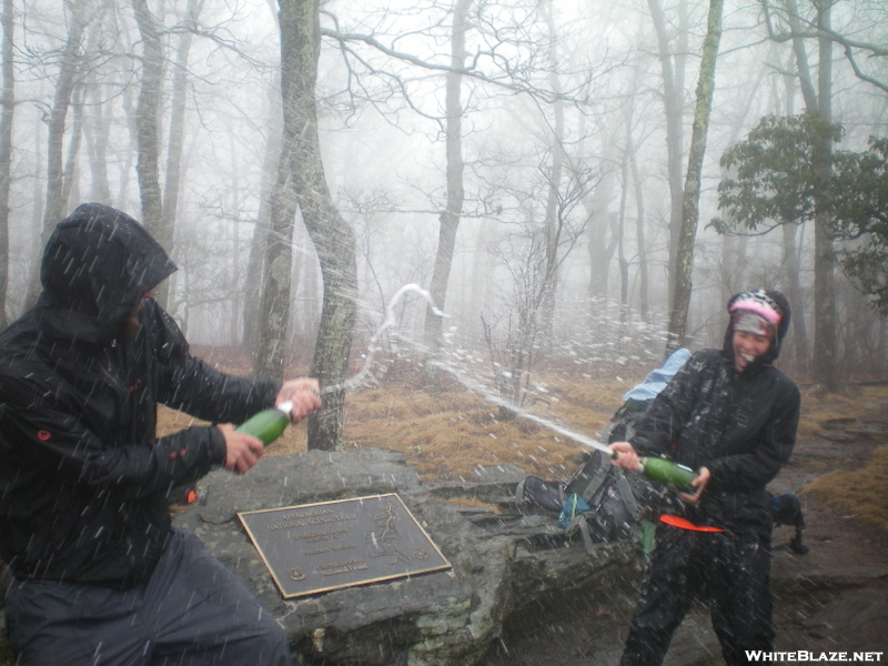 Champagne Shower