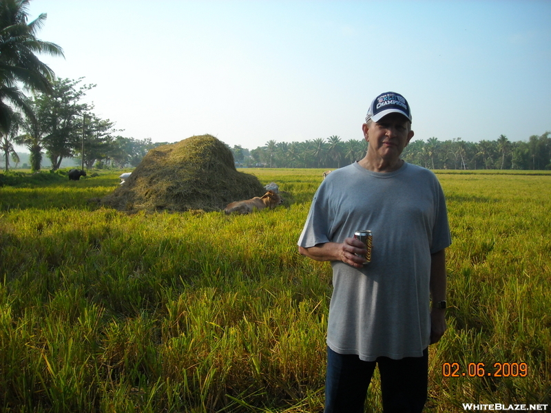 Victor In A Rice Field.