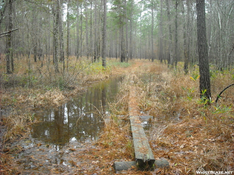 Swamp Fox Passage