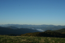 Max Patch