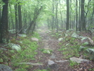 Wv-va Section Hike 2010 by Teeah3612 in Section Hikers