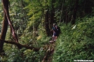 Siblings on the AT by Corvis in Section Hikers