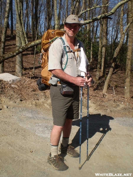 A Hike In The Woods