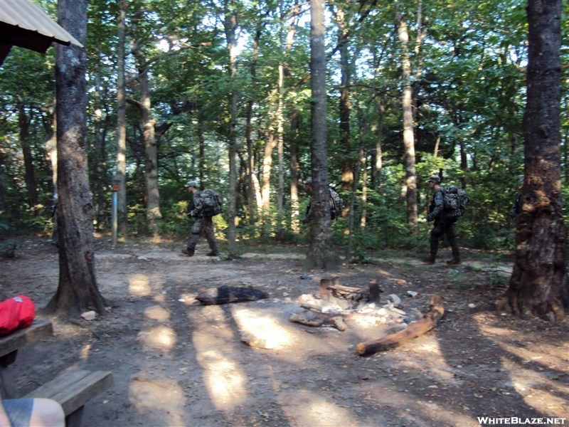 Rangers In Training