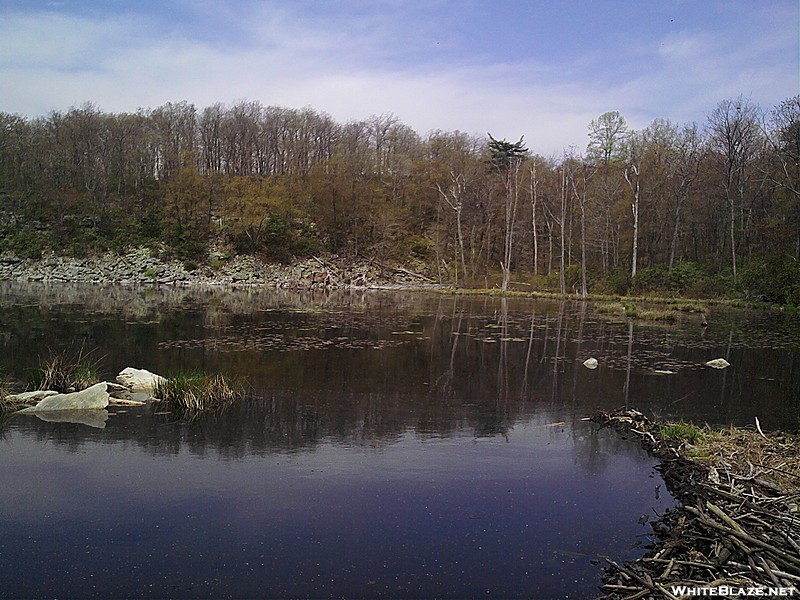 Millbrook pond (NJ)