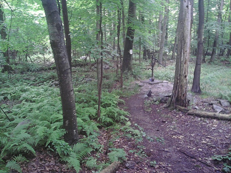 Water pump below Morgan Stewart shelter (NY)