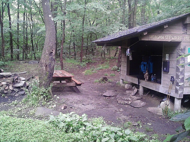 Morgan Stewart shelter (NY)