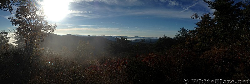 Georgia - Approach trail Hogpen gap