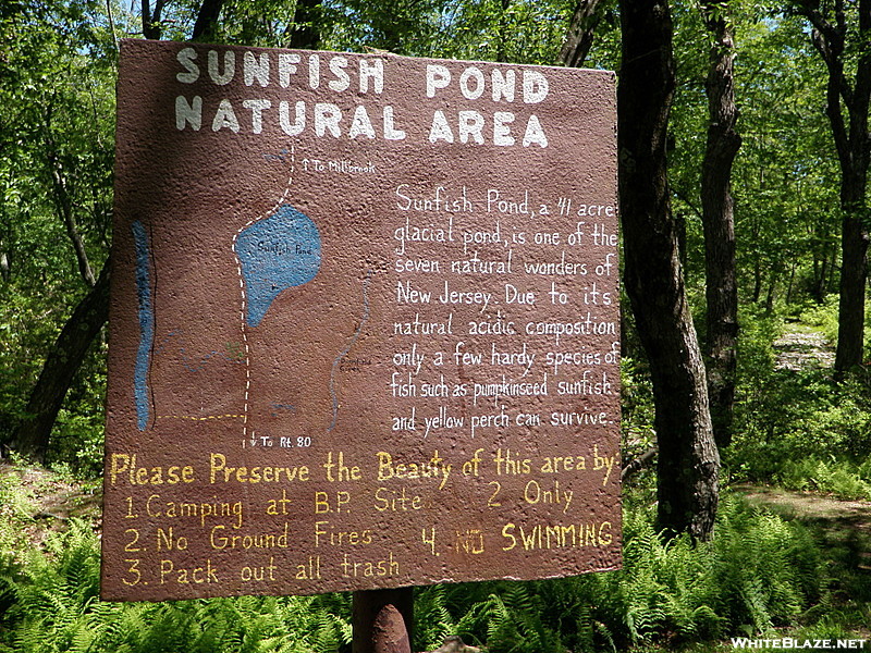 Sunfish Pond DWG PA