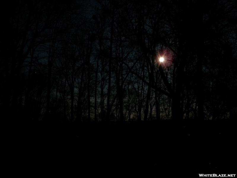 Wiley Shelter Nov 2010 (near Pawling, Ny)