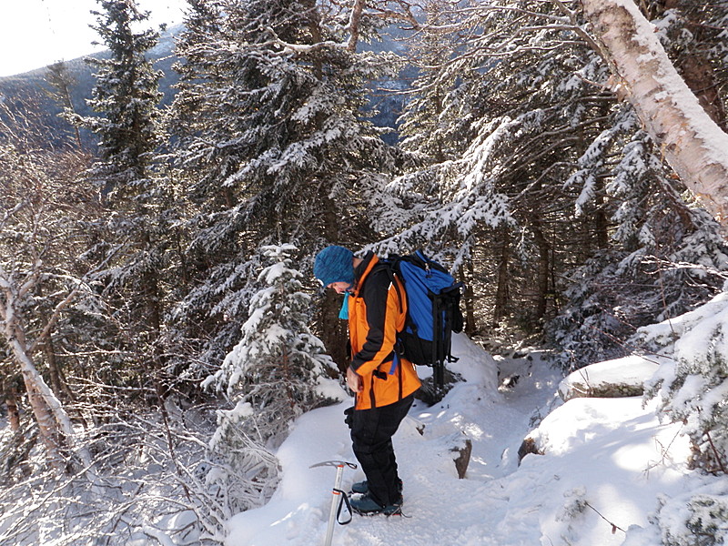 Lion's Head trail - Mount Washington December 2011