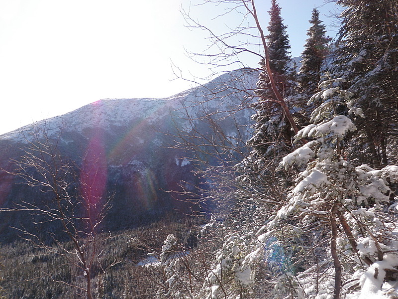 Lion's Head trail - Mount Washington December 2011