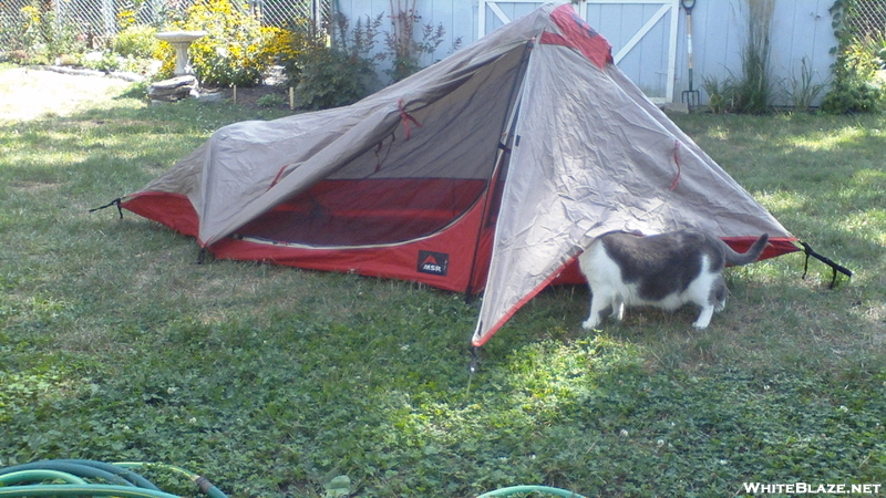 Someone Has Been Sleeping In My Tent!